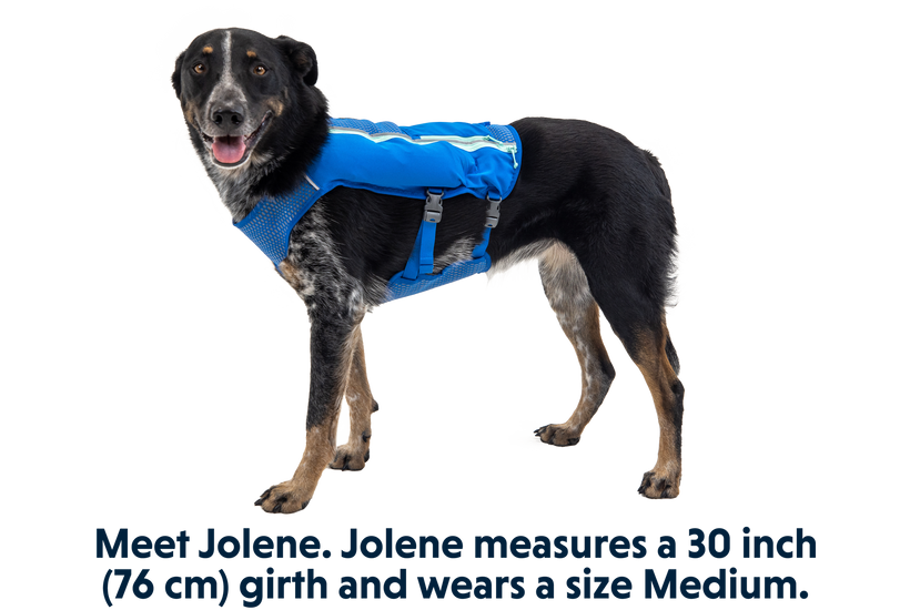 TRAIL RUNNER DOG RUNNING VEST