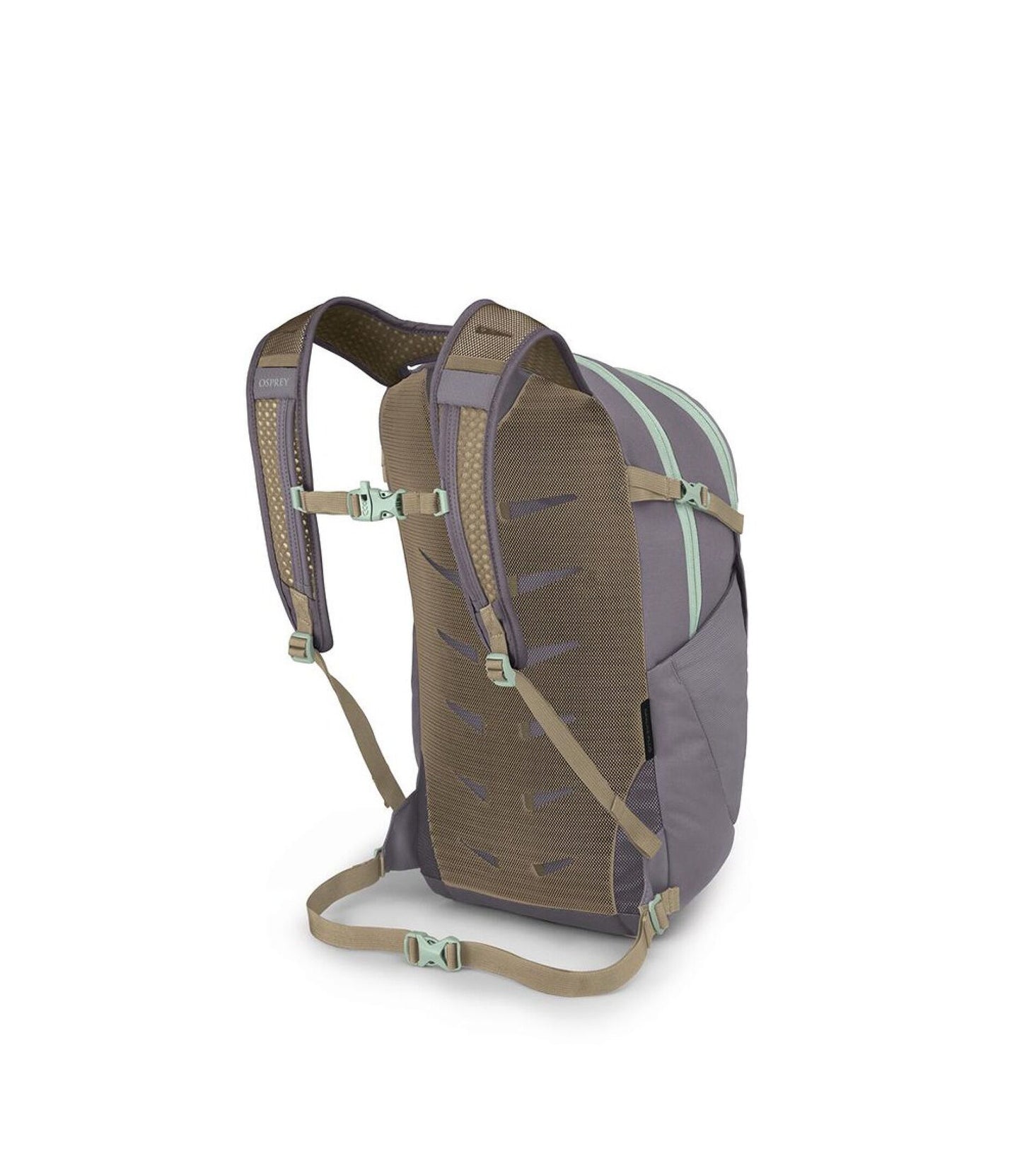 DAYLITE PLUS