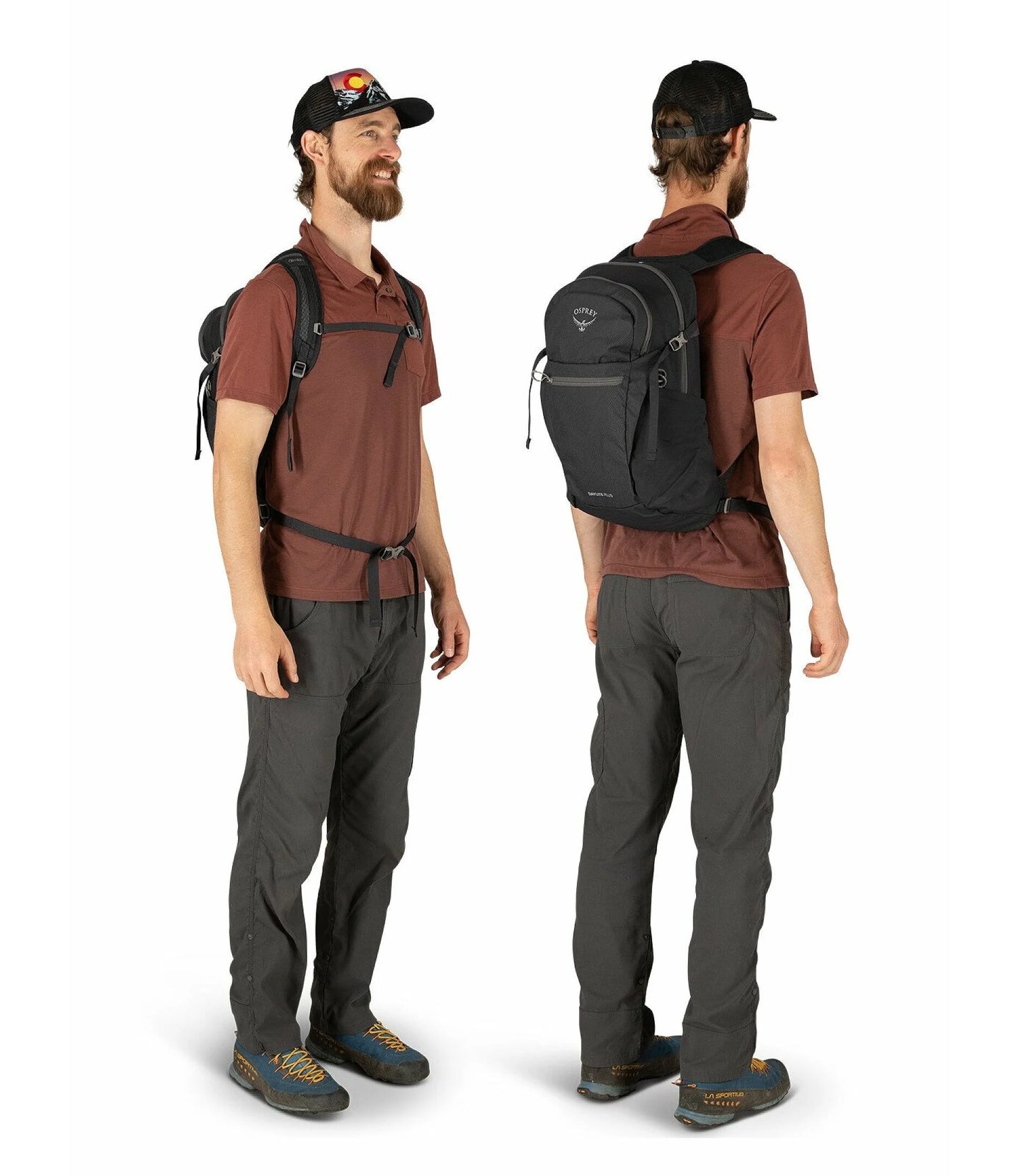 DAYLITE PLUS