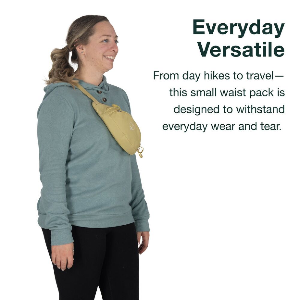 DAYLITE MINI WAIST PACK