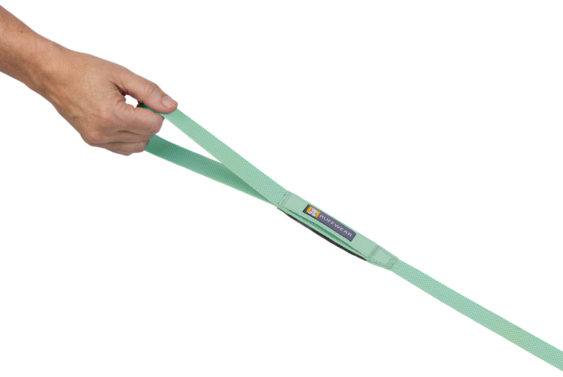 LEASHES
