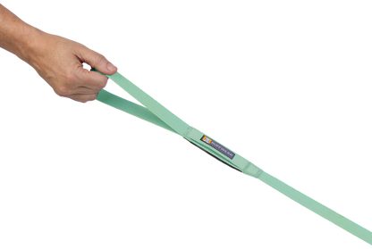 LEASHES
