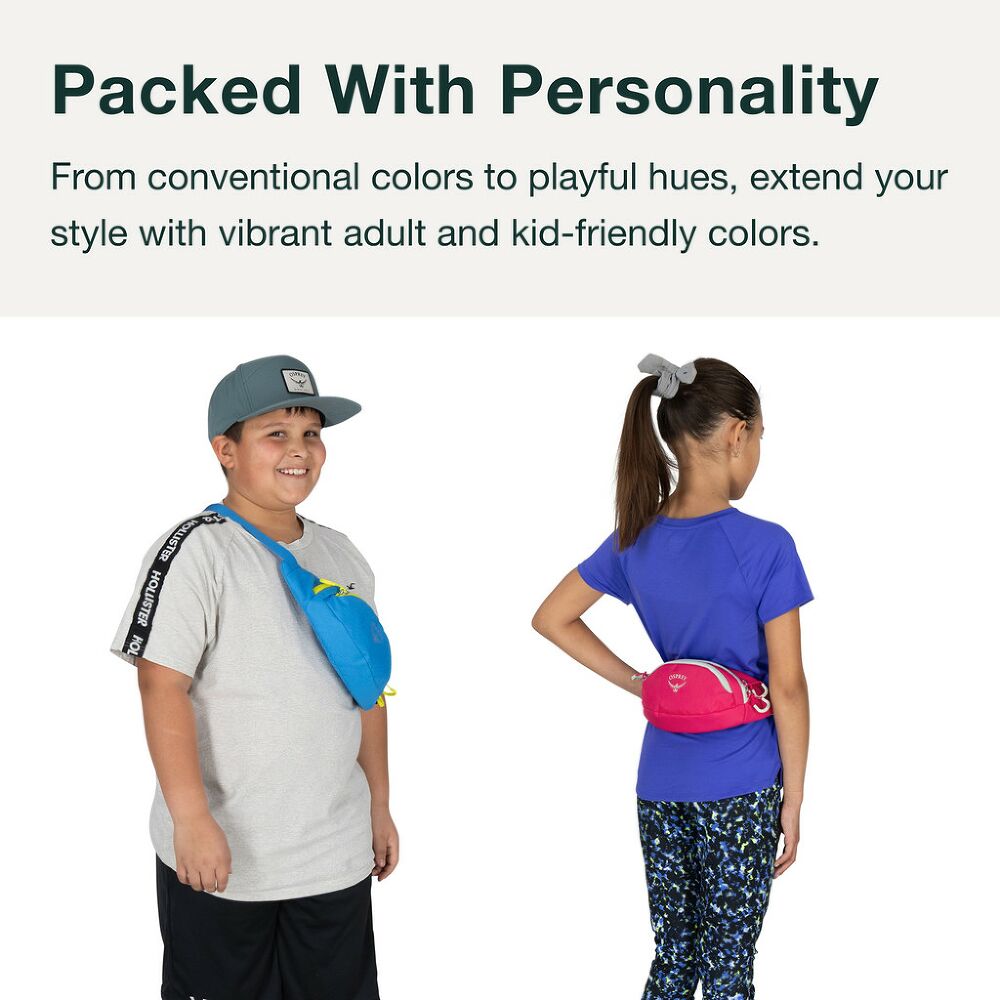 DAYLITE MINI WAIST PACK