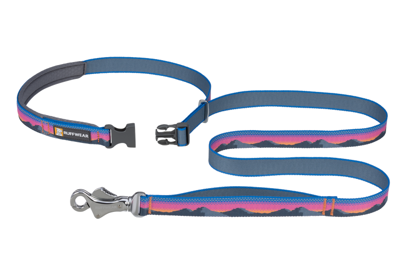 LEASHES
