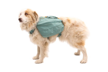 FRONT RANGE DAY PACK