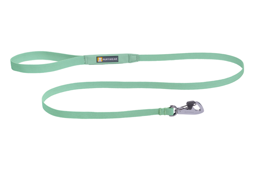 LEASHES