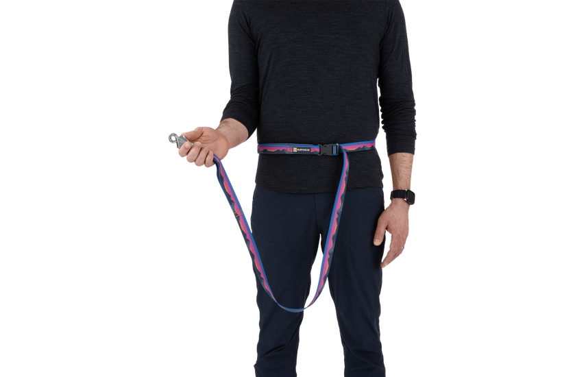 LEASHES