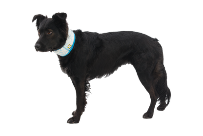 SWAMP COOLER COOLING NECK GAITER