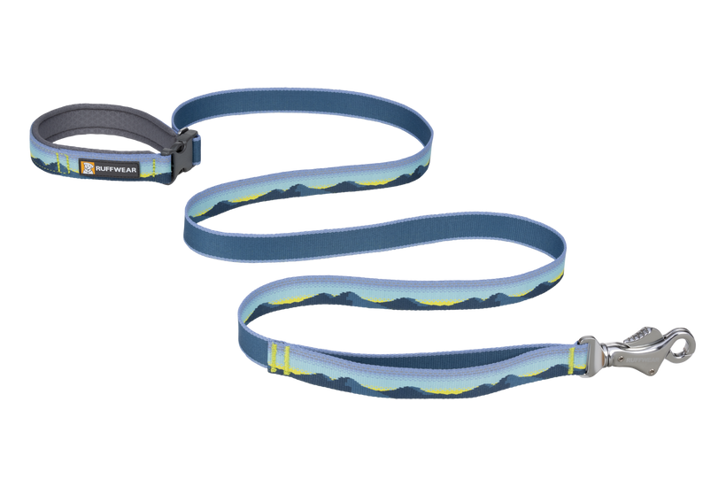 LEASHES