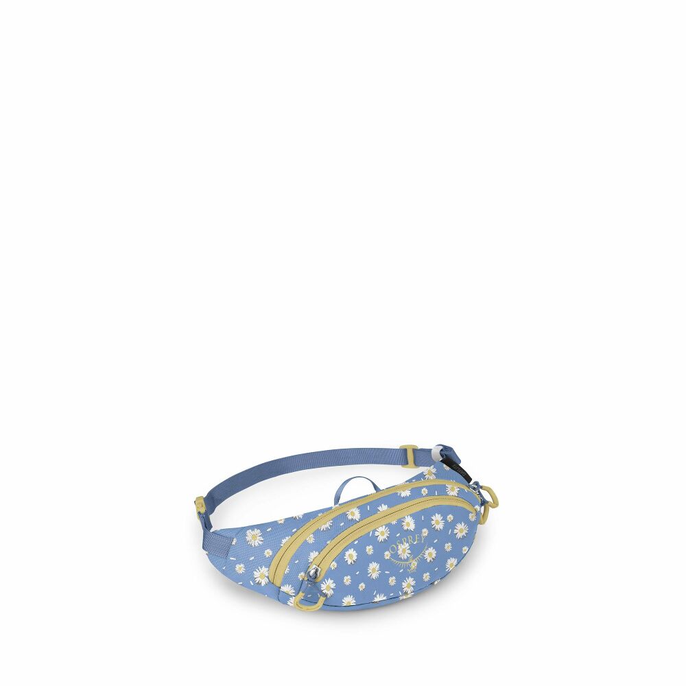 DAYLITE MINI WAIST PACK