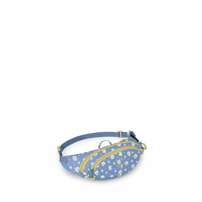 DAYLITE MINI WAIST PACK