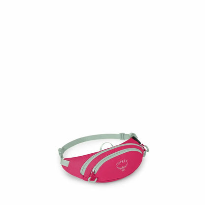 DAYLITE MINI WAIST PACK