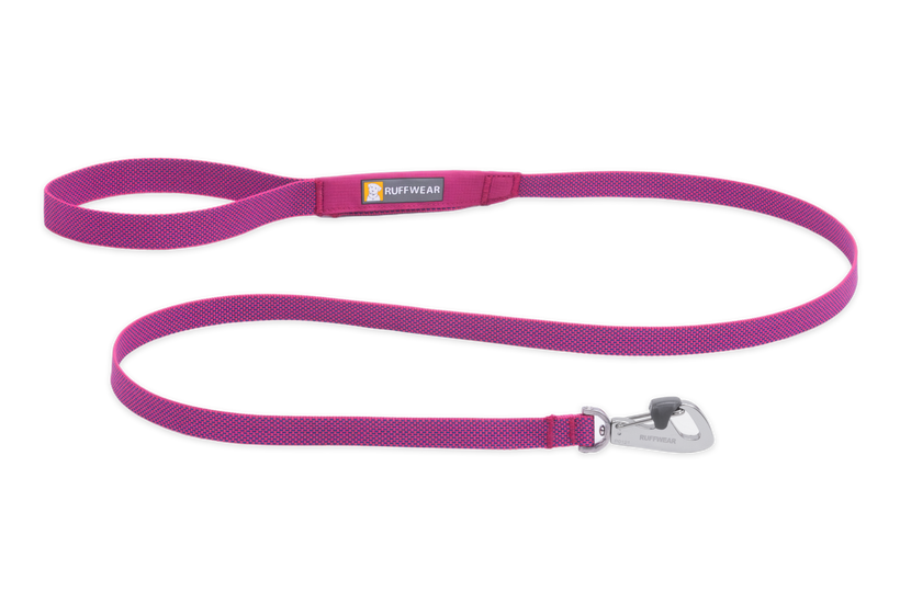 LEASHES