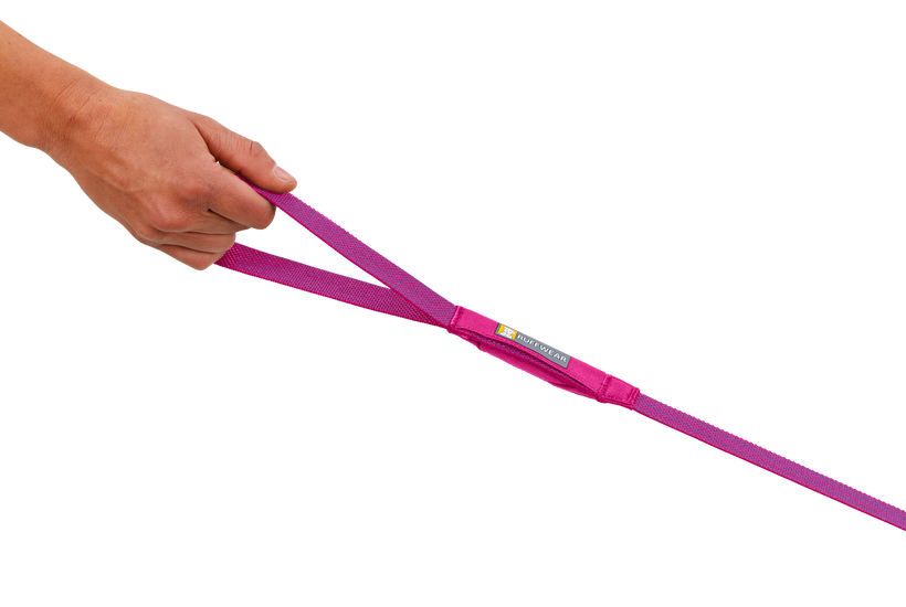 LEASHES