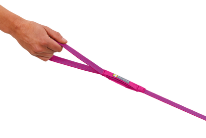 LEASHES