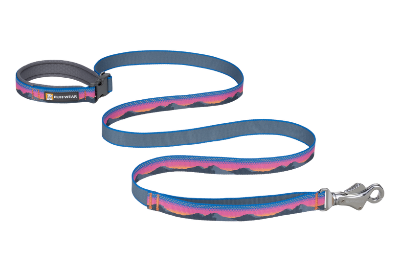 LEASHES